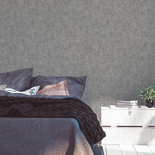 A.S. Création Terra 389223 Non-Woven Wallpaper Plain Grey 10.05 m x 0.53 m Made in Germany