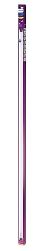 Philips LED Leuchtstoffröhre 1200 mm, 16W, G13, 1600 Lumen, warmweiß (2700K), Weiß