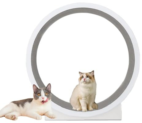 43,3 Zoll Katzenlaufrad, Katzenlaufrad, GroßEs Laufrad FüR Hauskatzen, Laufrad FüR Katzen, Katzenlaufband Mit Laufbahn Aus Teppichboden, Zum Abnehmen Und FüR TäGliche Bewegung