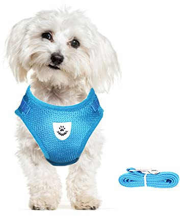 meioro Hundegeschirr mit Leine-Reflektierend Weich Gepolstert Hunde Geschirr-Atmungsaktiv Verstellbare Brustgeschirr für Kleine Mittelgroße Welpen Katzen-Schwarz Weste (Azurblau, M-Brust:35-40cm)