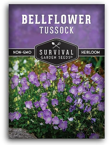 Survival Garden Seeds Tussock Bellflower Seed for Planting - 1 Packet with Instructions to Plant and Grow Campanula carpatica in Your Home Flower Garden - Non-GMO Heirloom