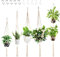 5 Piezas Colgador de Macramé para Plantas,Colgadores para Macetas para Interiores y Exteriores con 10 Ganchos,Cuerda de Algodón Hecha a Mano para Macetas,Soporte para Plantas para Decoración del Hogar