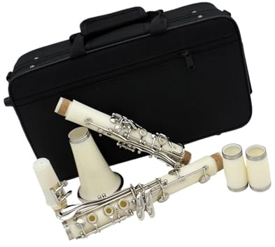 Anfänger klarinette Weiße Klarinette, 17 Tasten, B-B-Ton, Professionelles Holzblasinstrument, Bakelit-Klarinette Mit Box, Musikinstrumententeil