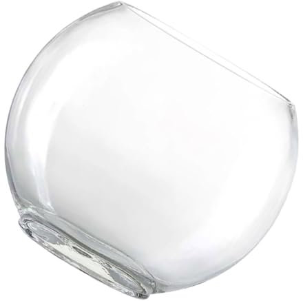 VINTORKY Bocal Verre Transparent pour Plantes Terrarium Décoratif pour Bureau Et Maison Design Créatif Et Multifonctionnel