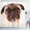 ABAKUHAUS Mops Duschvorhang, Upset Hund Sad Eyed Pet, Stoffliches Gewebe Badezimmerdekorationsset mit Haken, 175 x 200 cm, Siegel Braun