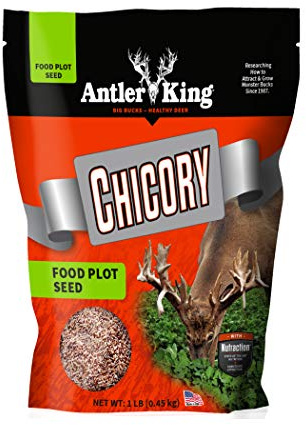 Antler King Chicory Food Plot Seed | 1 lb Bag of Chicory Hardy Cool Season Perennial for Deer | Grows Fast, Drought and pH Tolerant | Plants 1/4 Acre