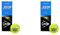 Dunlop Tennisball ATP Pressureless – für Sand, Hartplatz & Rasen (1x3er Dose) (Packung mit 2)