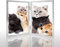 Bilderrahmen, 10,2 x 15,2 cm, doppeltes Scharnier, silberfarbener Metallrahmen mit hochauflösender Glasfront, klappbarer Rahmen, vertikal auf dem Tisch, silberfarben