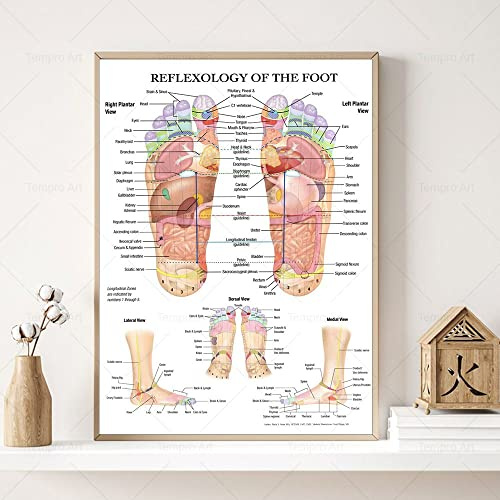 Reflexzonenmassage Des Fußes Poster Akupunktur Punkt Diagramm Anatomie Kunst Leinwand Malerei Druckbild Für Wohnzimmer Home Wall Decor 30X40Cm Kein Rahmen