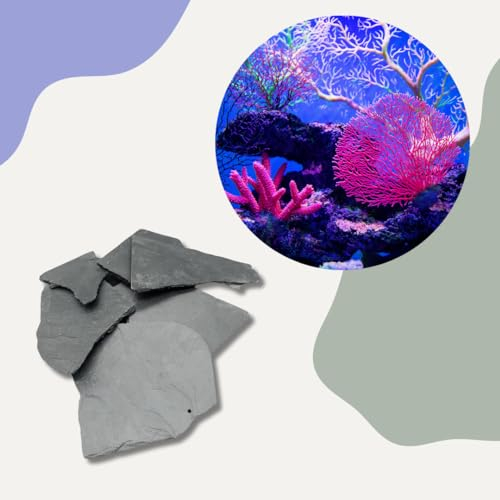 Generisch 20 kg Schieferplatten 5-10cm - Natürliche Ziersteine für Aquarium und Terrarium - Ideale Dekoration für Reptilien, Heizsteine und Höhlenbau - Hochwertiger Schiefer für kreative Gestaltung
