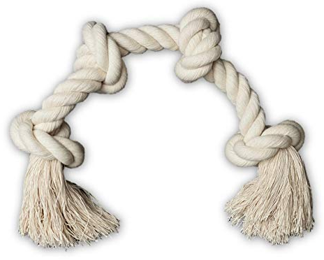 Go Rilla Jouet à mâcher interactif pour chien avec corde, idéal pour le nettoyage des dents du chien, pour chiots moyens et grands chiens (L, naturel)