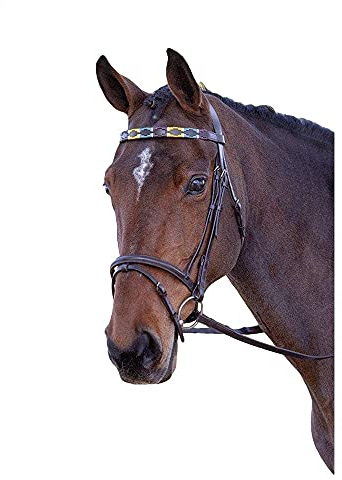 Blenheim - Pferde-Stirnriemen, Leder, Polo (XFull) (Violett/Dunkelgrün/Gelb)