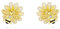 Biene Ohrstecker Sterling Silber Daisy und Biene Ohrringe Hummel Gänseblümchen Ohrstecker Schmuck Geschenke für Damen