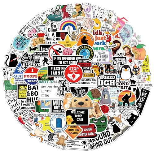 100 Pegatinas Divertidas,Stickers de Vinilo Impermeable para Laptop,Skate,Botella de Agua,Maleta y Más,Colección de Memes,Graffiti y Diseños Aesthetic para Adolescentes y Adultos