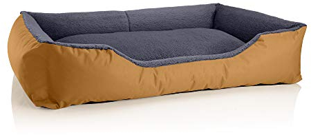 BedDog Hundebett Teddy, Hundesofa aus Cordura und Microfaser-Velours, waschbares Hundebett mit Rand, Hundekissen Vier-eckig, für drinnen, draußen, Größe XXL, Gold-grau