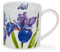 Dunoon Orkney Tasse en porcelaine fine Motif fleurs irisées et coquelicot 0,35 l