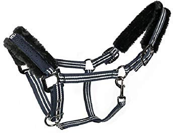 Cavallo Halfter Hinda, Größe:Vollblut, Farbe:darkblue