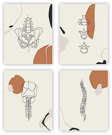 heilkee Line Art Wanddekoration, Anatomie-Poster, Therapie, Büro, Dekoration, abstrakte Boho-Wandkunst, minimalistische Raumdekoration, Wirbelsäule, Becken, Arzt-Geschenke, 4er-Set, ungerahmt 20,3 x
