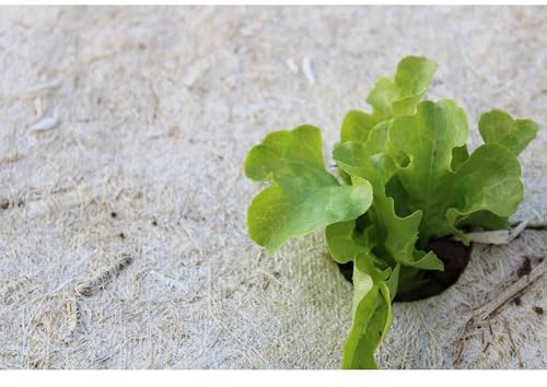 Grow-Win Mulchvlies aus Hanf für Gemüsegarten, Anbau im Gewächshaus und im Freien, Bio und ECOCERT 88 cm x 200 cm