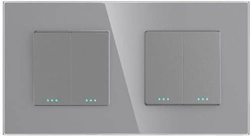 PULSAR Unterputz Lichtschalter 2-Fach Grau Glas, Doppelter Serienschalter mit Glasrahmen 10A 250V, Doppel Schalter Wandschalter
