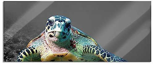 Pixxprint Glasbild Panorama, Wandbild aus Echtglas, Schildkröte Korallenriff, 120x50 cm, inkl. Aufhängung und Abstandshalter