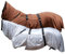 RL24 - Ekzemerdecke mit Halsteil & Bauchlatz – Fliegendecke z. Schutz vor Insekten – feinmaschiges Gewebe, doppelter Frontverschluss & Beinschnüre – Outdoor-Pferdedecke in Silbergrau – 145cm