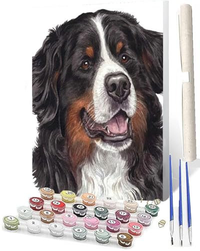 WMZPOY Paint by Numbers for AdultsDIY Canvas Oil Painting Kit Acrylic Swiss Bernese Mountain Dog CraftsPainting Kits with Paint Brushes Frameless for Home Wall Decor Gifts 40x50cm