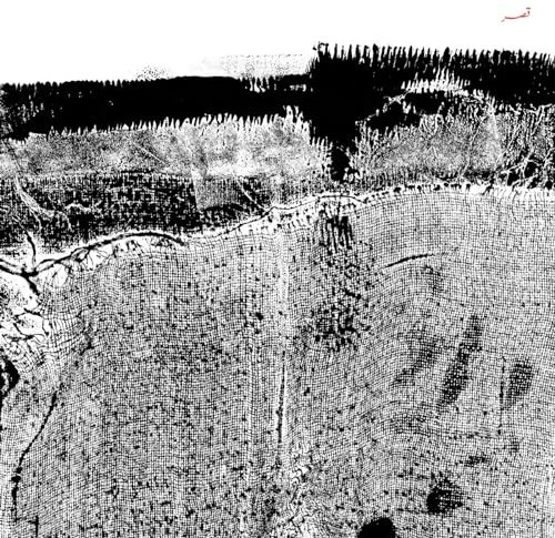 Qasr (Limited Red Vinyl) [Vinyl LP]