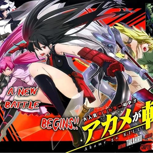 akame ga kill 4 Poster, A5, Wandkunst, Heimdekoration, Filmposter, Leinwand, Film, Kino, Retro, Vintage, Kult, klassisch, Nostargic, Saga, moderner Nachdruck, wir drucken jedes Poster für Sie,