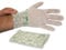 Glovelee Compostable Gloves - 100 Pack, Disposable, Latex, BPA & Powder Free, Food & Garden Waste, EN13432 Compliant, Large, Green