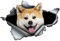 Autoaufkleber Akita Hund Aufkleber 18cm(7.1 Inch) Akita dog Car Sticker 3D Zerrissen Autoaufkleber Lustig Akita Hund Reflektierende Aufkleber Stoßstange Wasserdichte Lustig Dekor