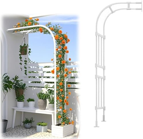 Rankhilfe Halbbogen Rosenbogen Gartenbogen Für Kletterpflanzen Aus Metall Torbogen Rankhilfe Breite 60/90/180/200/300/350/400cm Halber Bogen Rosen Spalier Rankbogen(White,200x267x60cm)