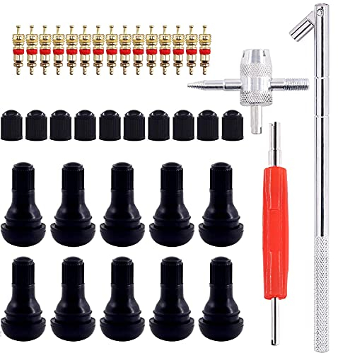 GTIWUNG Demonte Valve Pneu Outil, Valve Core Remover pour Voiture Remplacement, TR412 Valve Pneu, Valve Core, 4-1 Outil de Réparation de Valve de Pneu - Démonte Valve Pneu, Tire Repair Kit