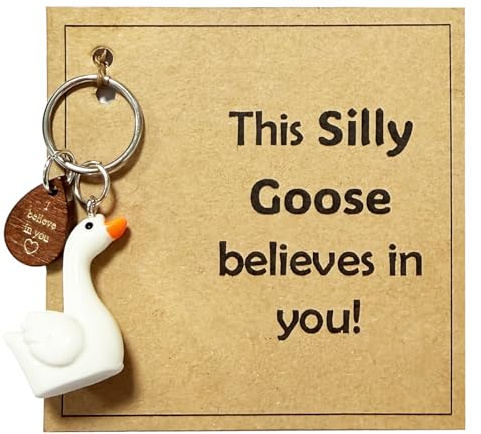 Virelle Silly Goose Believer - Motivational Desk Decor with This Silly Goose Believes in You Message - Inspirational Home & Office Gift for Encouragement and Positivity