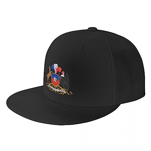 Baseballmütze Hiphop Sonnenhut Cooles Wappen Von Chile Hip Hop Mütze Sommer Flaches Skateboard Snapback Dad Hut Snapback Verstellbare Geburtstagsgeschenke
