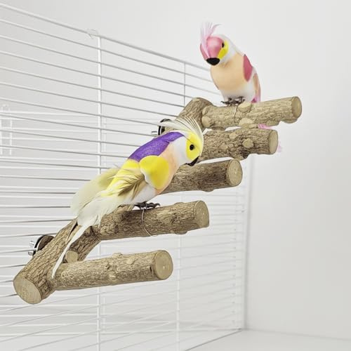 QZDAFFIC 6 Stück Wellensittich Sitzstangen, Natur Szechuanpfefferholz | Kleine Vögel Futterstange Wellensittich Spielzeug Vogelkäfig für Nymphensittich Kanarienvogel