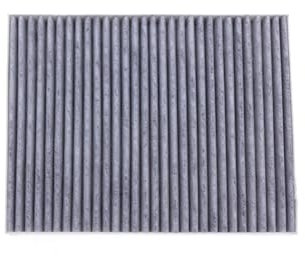 ZDPVK Filtro abitacolo for Ford Fiesta ST 1.6T Ecosport 1.0T 1.5L 2.0L CN11-18D543-AA Filtro dell'Aria del Veicolo