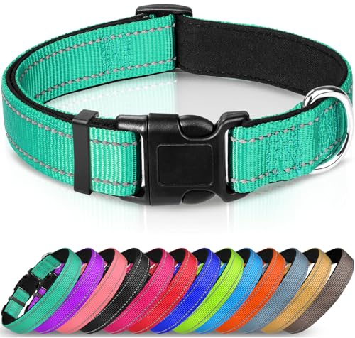 Joytale Halsband Hund, Gepolstertes Hundehalsband Breit aus Neopren Nylon Hundehalsband Verstellbar für Mittelgroße Hunde, Weich und Reflektierend Hundehalsbänder, M, Türkis