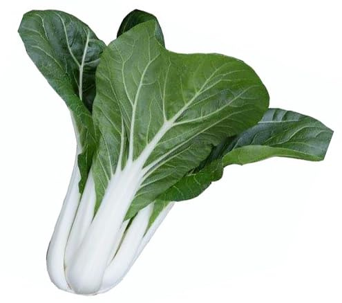 4000ct+ Bok Choy Seeds for Sprouting,Chinese Cabbage Seed for Planting,Microgreen/Sprouting Seeds for Home Vegetable Garden.黑叶白菜. Pak Choi White Stem,10g. Sow in Fall/Spring