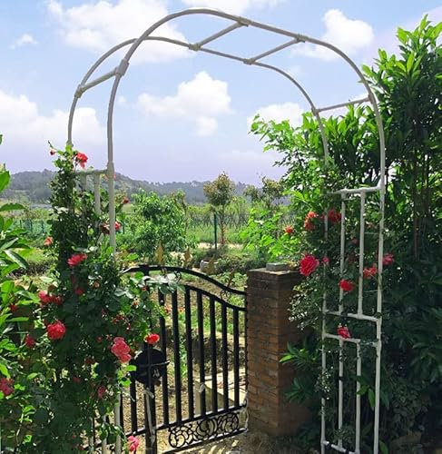 Pergola de jardin en métal pour plantes grimpantes - Résistant aux intempéries - Blanc - 210 cm x 240 cm