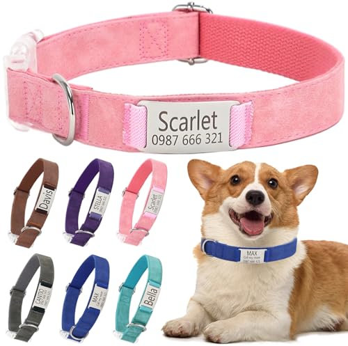 Collier Chien personnalisé prénom - Étiquettes nominatives gravées personnalisées, Colliers Uniques et Confortables, adaptés aux Chiens et Chats de Petite, Moyenne et Grande Taille (S, Rose)