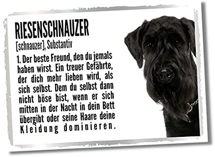 Riesenschnauzer Duden Hund Dog Schild Spruch Türschild Hundeschild Warnschild Fun Geschenkidee lustiger Spruch Hundemotiv Aluminium Wetterfestes Hundeschild