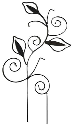 Csnbfiop Plante grimpante en pot - Pour l'intérieur et l'extérieur - Légumes floraux - Plante grimpante