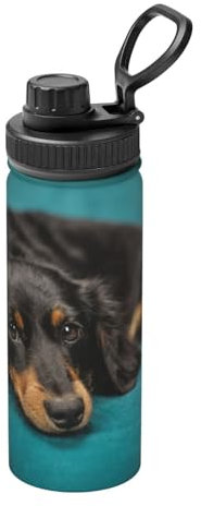 InOmak Perro salchicha Botella de agua de 18 oz, taza de acero inoxidable con aislamiento, vaso de vacío, termo de agua