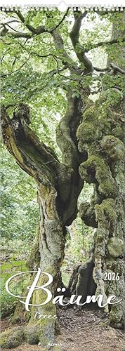 Alpha Edition - Bäume 2026 – Streifenkalender XXL 25x69 cm – Bildkalender im Hochformat – Für Natur- und Baumliebhaber – 12 beeindruckende Baummotive ... & sprachneutrales Kalendarium: Trees