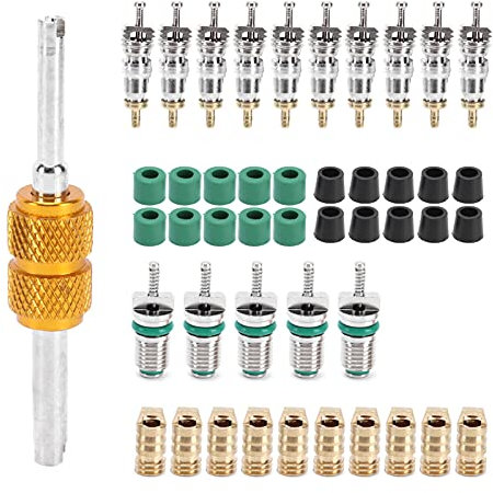 Noyau de Valve de Climatiseur, 46 Pièces/Ensemble Noyaux de Valve Schrader Outil D'installation de Dissolvant de Démontage A/C pour R410/R22/R134a