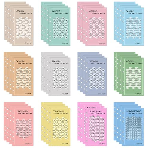 Budget Planner Zubehör (48er Set), A6 Sparchallenge Budgetplaner für Umschlagmethode Spar Challenge Set mit 1€ 2€ 5€ 10€ 15€ 20€ 25€ 30€ Kleingeld 30TAGE 100 TAGE 26 WOCHEN 52 WOCHEN