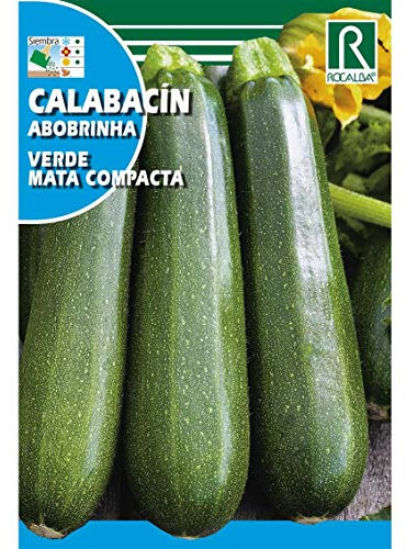 Semillas de Calabacín verde mata compacta