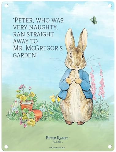 Metal Sign - Beatrix Potter's Peter Rabbit (Peter Rabbit - Peter, who was very naughty, 30 x 40 cm)