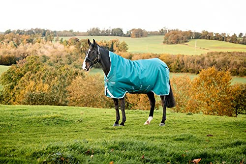 Horseware Amigo Bravo 12 Wug medium Storm Green Größe wählbar (155)